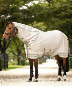 Riverrush.shop00428fd189 1