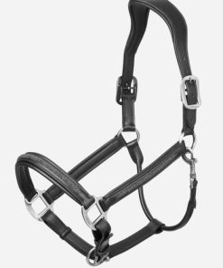 Riverrush.shop08ff581b9d 1