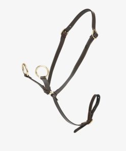 Riverrush.shop27dd453660 1