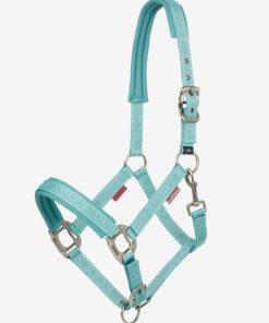 Riverrush.shop2b293a7137 1