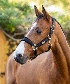 Riverrush.shop42347f13b9 1