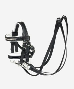 Riverrush.shop42d78779b9 1