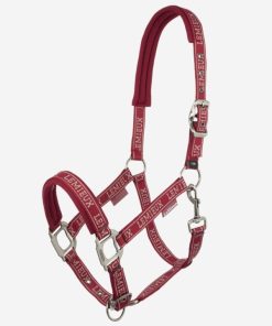 Riverrush.shop4508506882 1