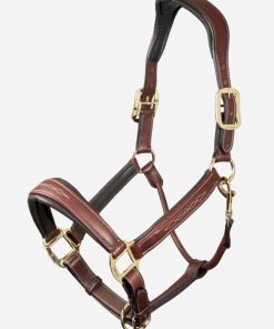 Riverrush.shop45e2dcb7bd 1