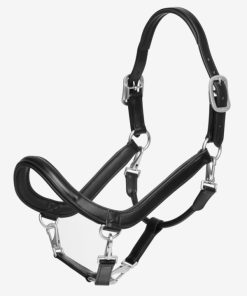 Riverrush.shop4b2d646790 1