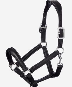 Riverrush.shop4fbb90acd4 1