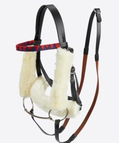 Riverrush.shop65691c1086 1