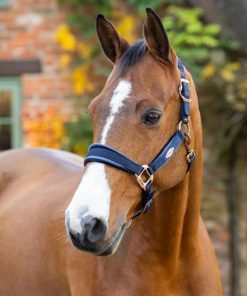 Riverrush.shop779b64fe52 1