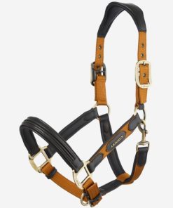 Riverrush.shop7835323df8 1