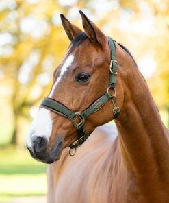 Riverrush.shop7873d38def 1