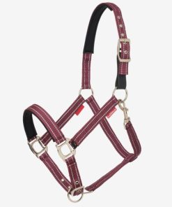 Riverrush.shopb0ecb01c75 1