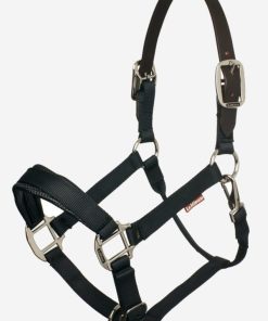 Riverrush.shopc444f2901a 1