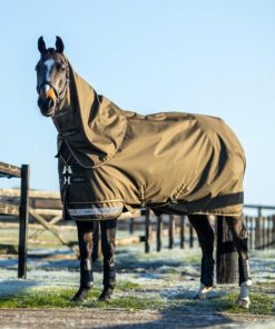 Riverrush.shopdd5c173430 1