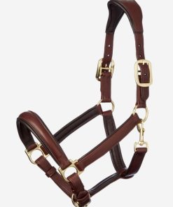 Riverrush.shope132dd90e7 1