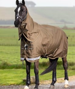 Riverrush.shope9fedbcab0 1