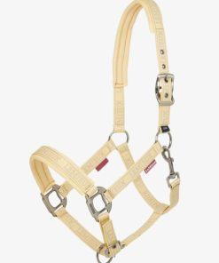 Riverrush.shopead33d2287 1